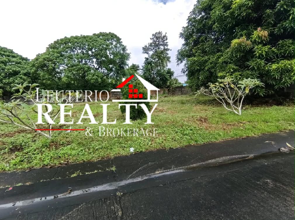 BROKERAGE: RESIDENTIAL LOT FOR SALE – 442 SQM in Bicol — real estate listing image 1